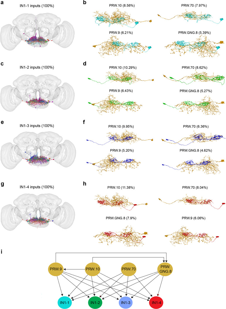 Extended Data Fig.7|