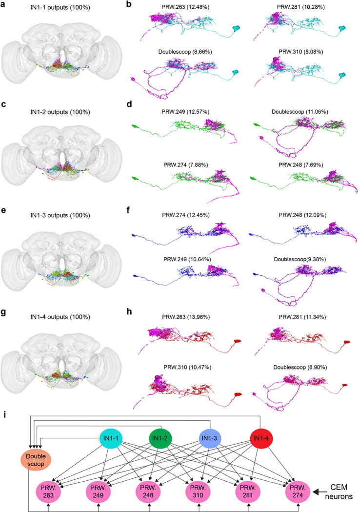 Extended Data Fig.8|