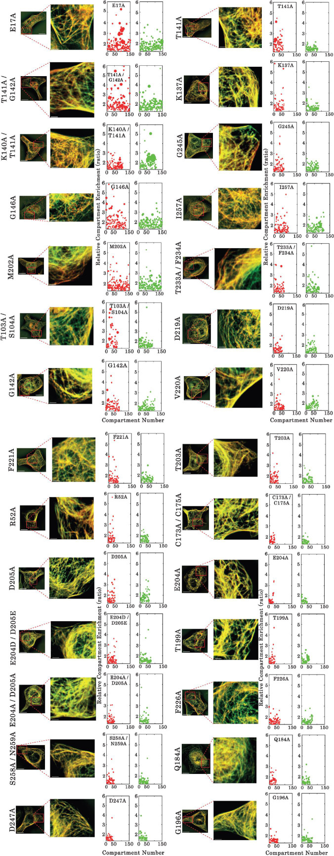 Figure 3—figure supplement 1.