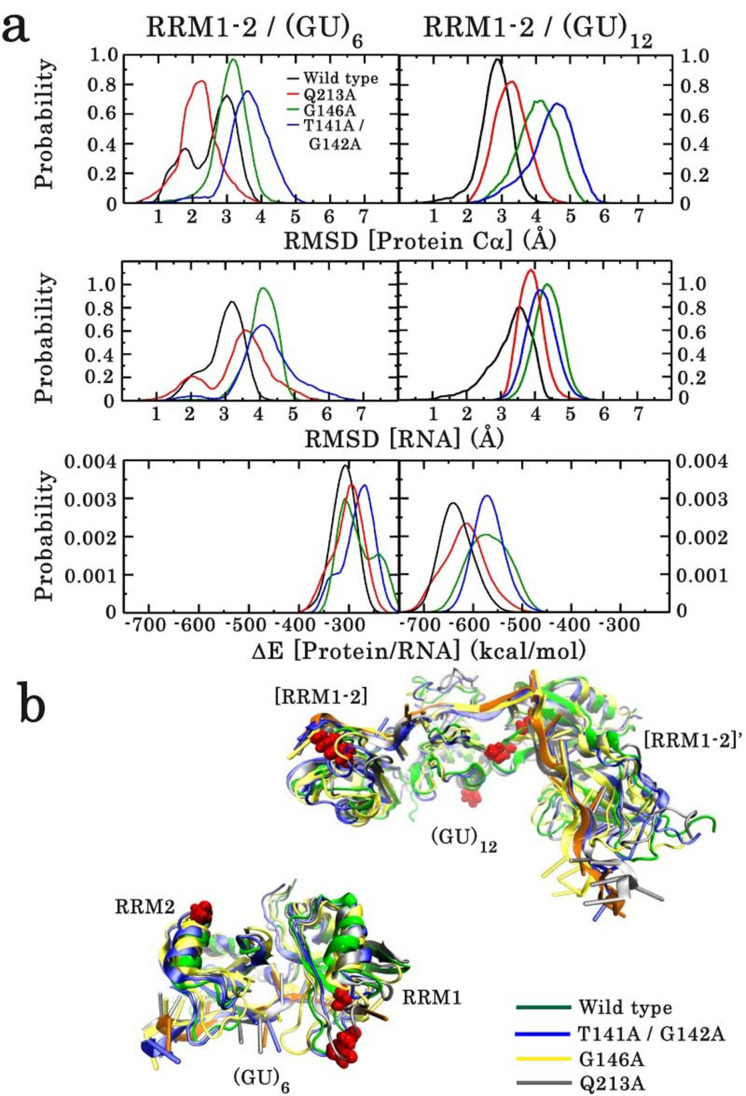 Figure 4—figure supplement 3.