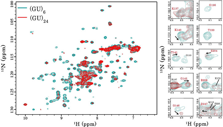 Figure 2—figure supplement 1.