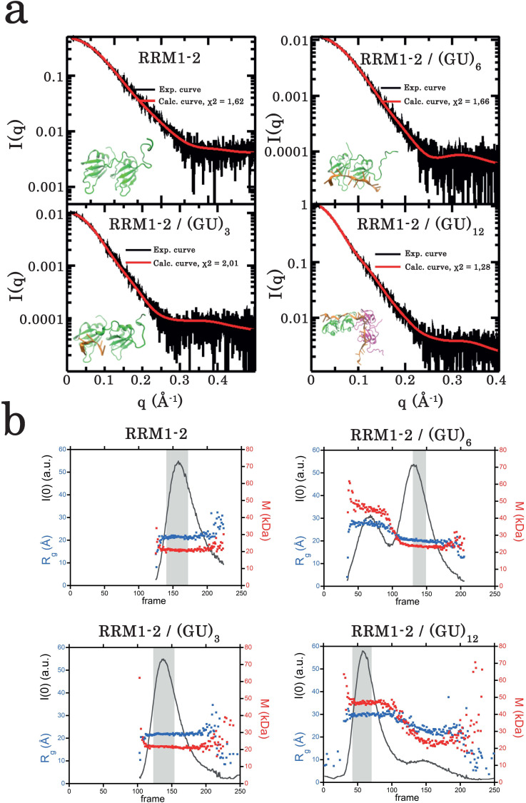 Figure 5—figure supplement 1.