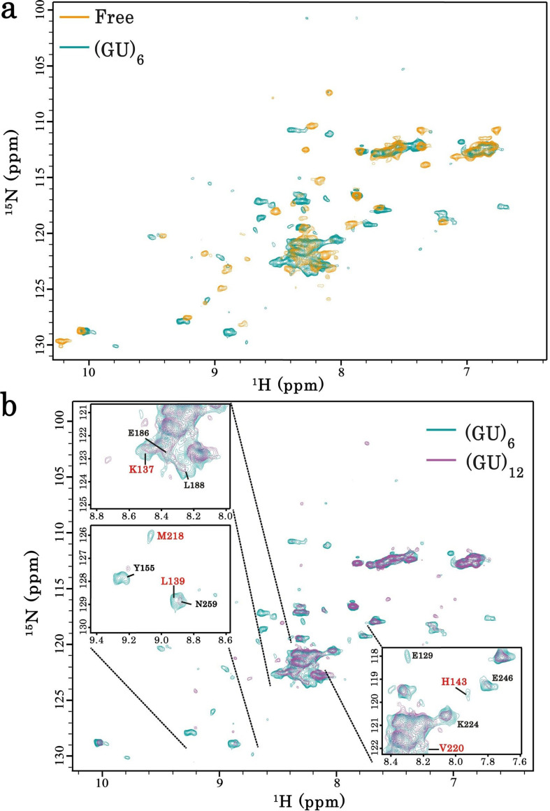 Figure 5—figure supplement 5.