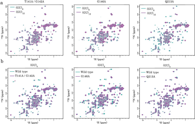 Figure 4—figure supplement 2.