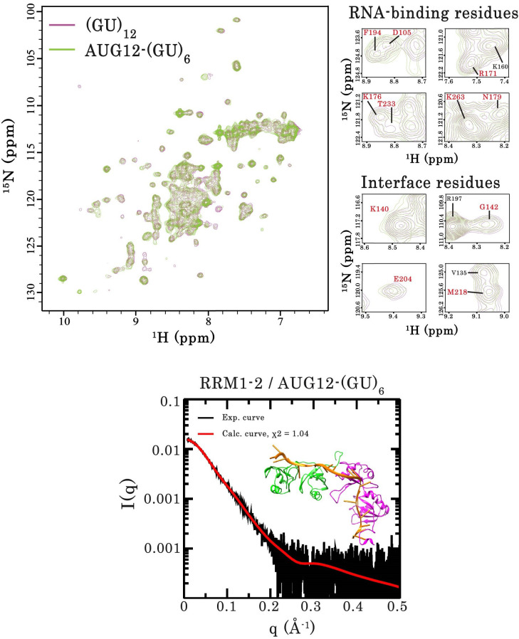 Figure 5—figure supplement 3.