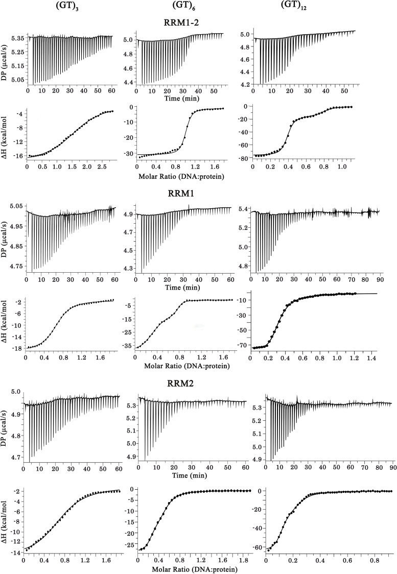 Figure 1—figure supplement 2.