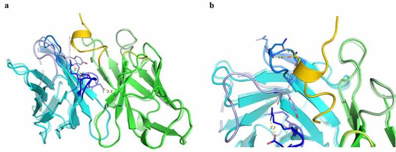 Figure 5.