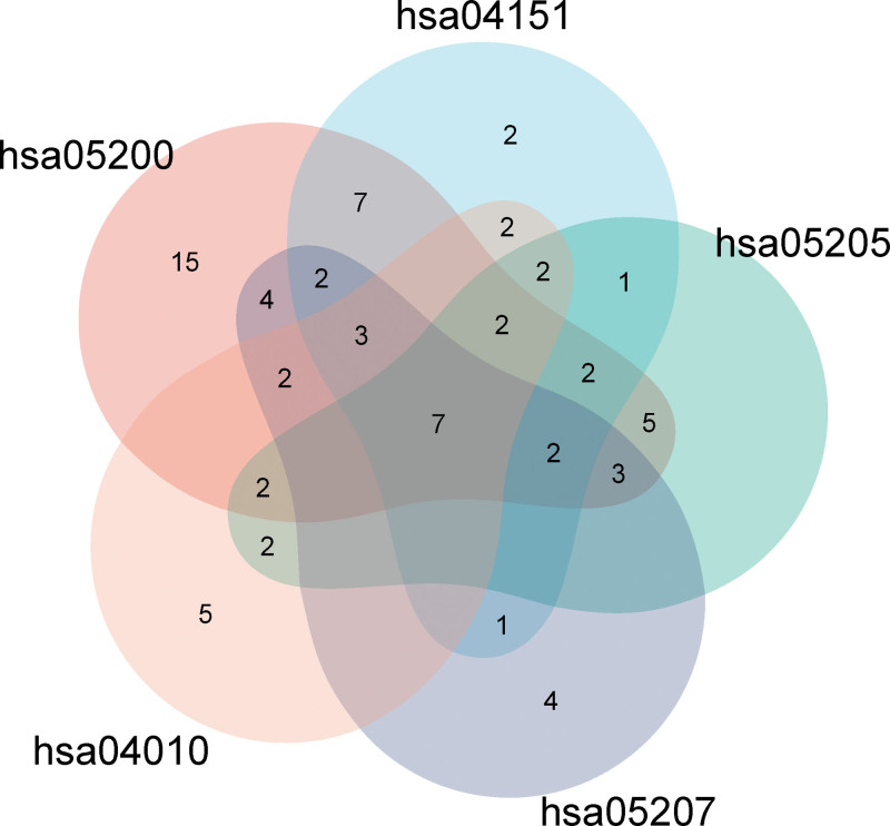 Figure 6.