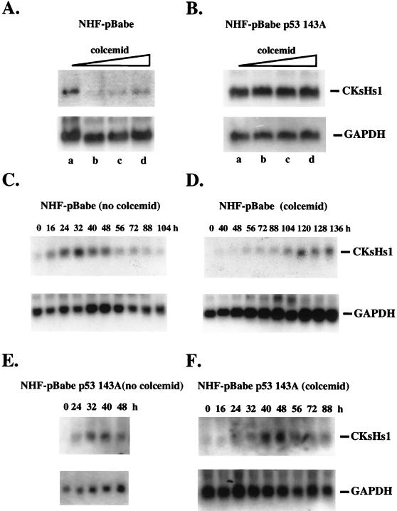 FIG. 5