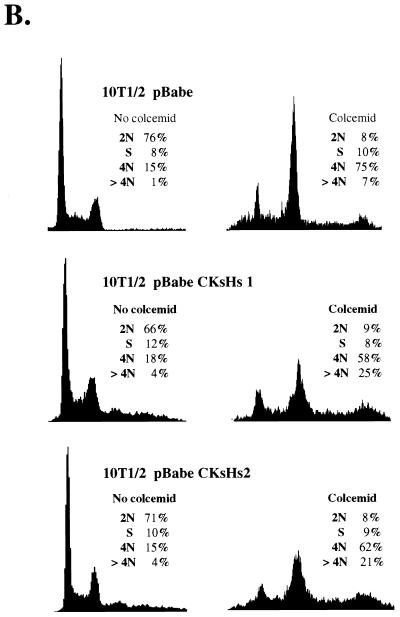 FIG. 11