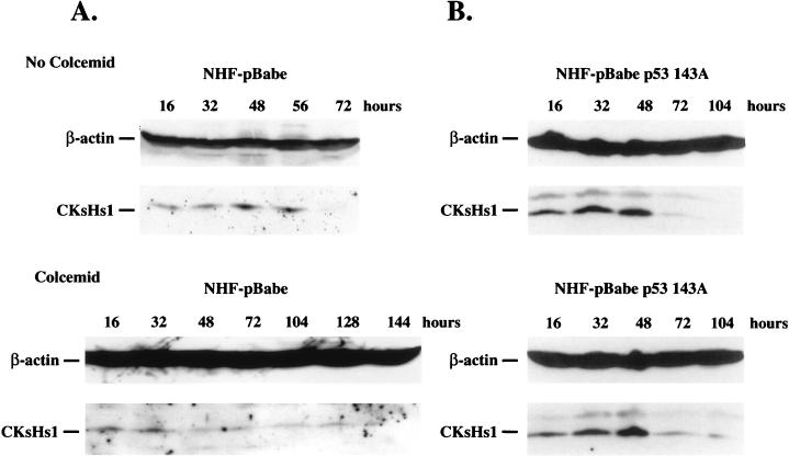 FIG. 6