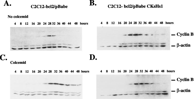 FIG. 10