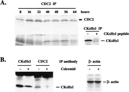 FIG. 8