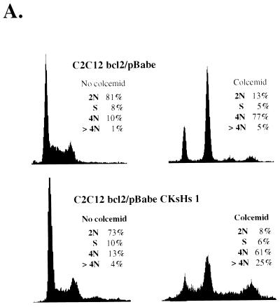 FIG. 11