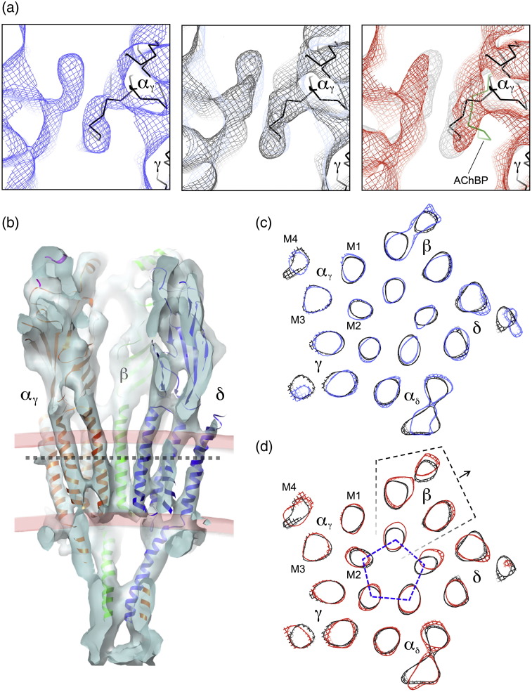 Fig. 3