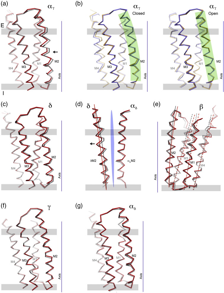 Fig. 9