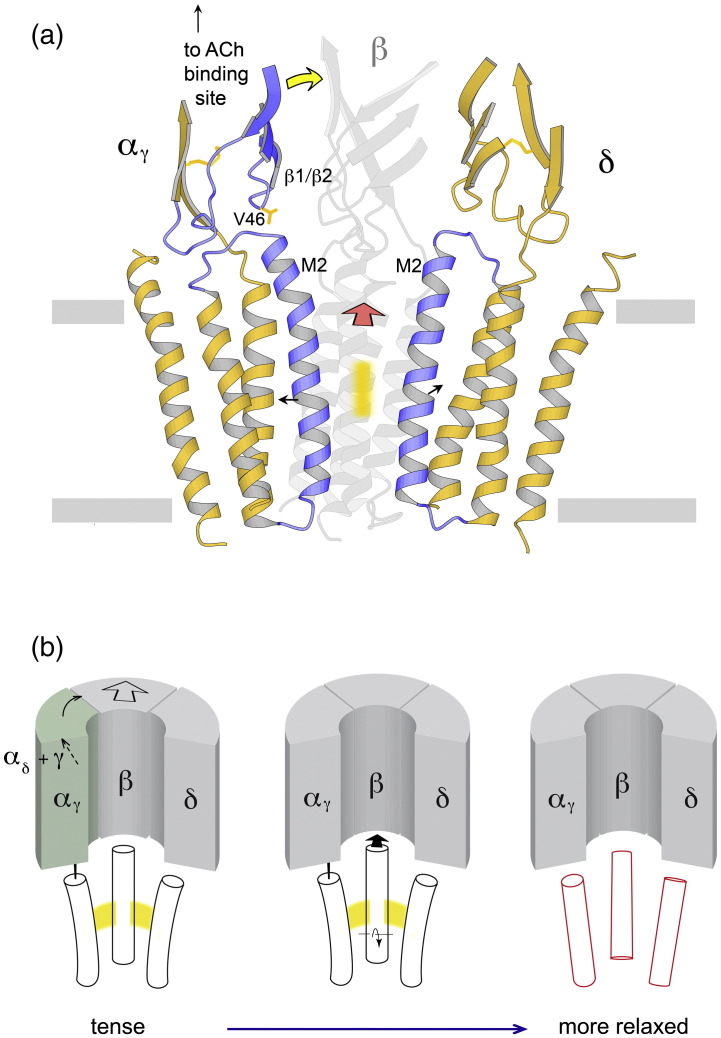 Fig. 11