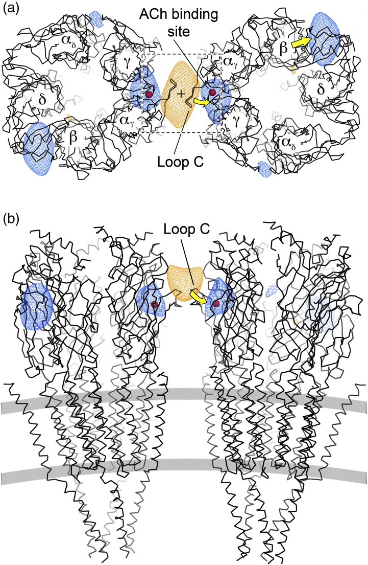 Fig. 2