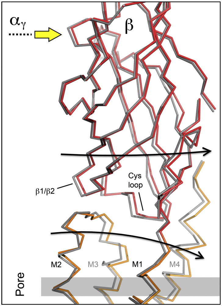 Fig. 7