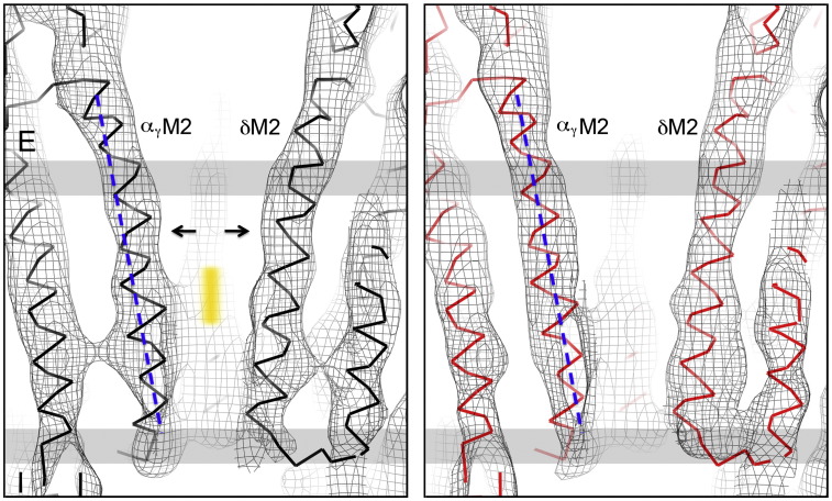 Fig. 8