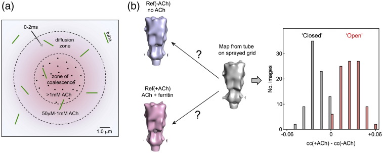 Fig. 1