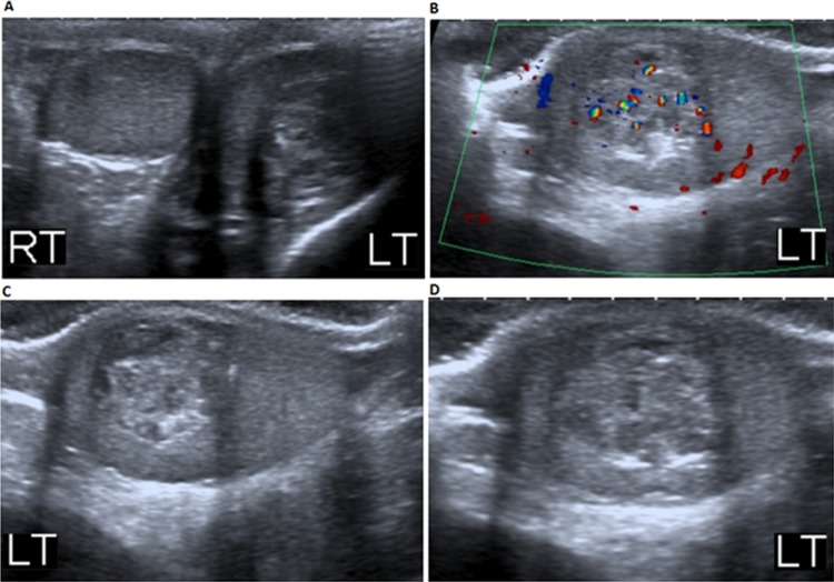 Figure 1