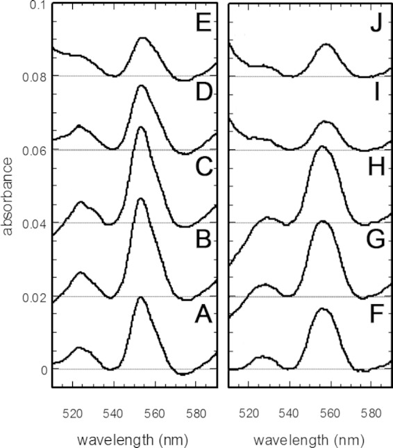 FIG 1