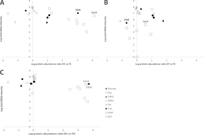 FIG 2