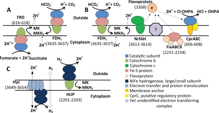 FIG 3