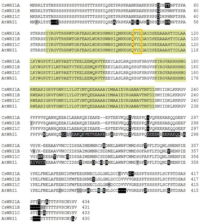 FIGURE 1