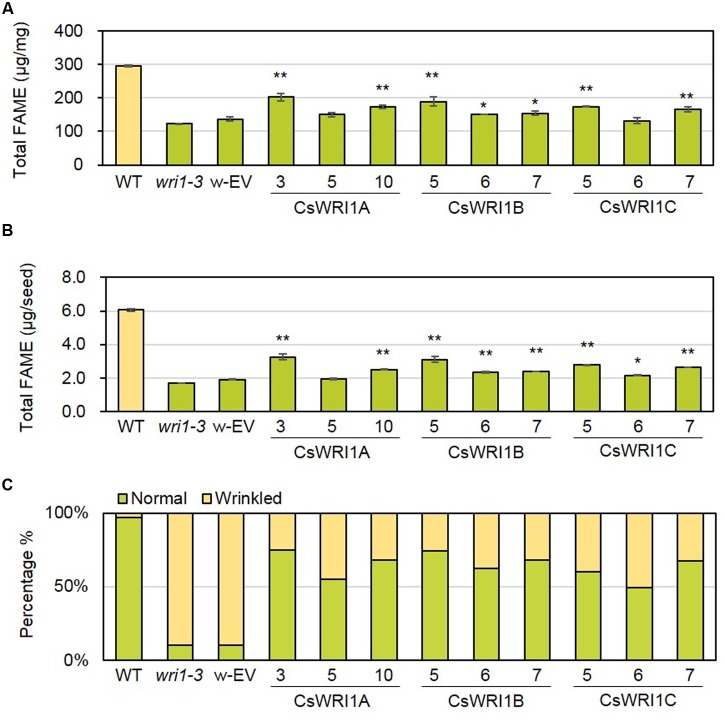 FIGURE 6