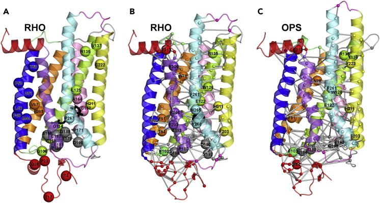 Figure 1