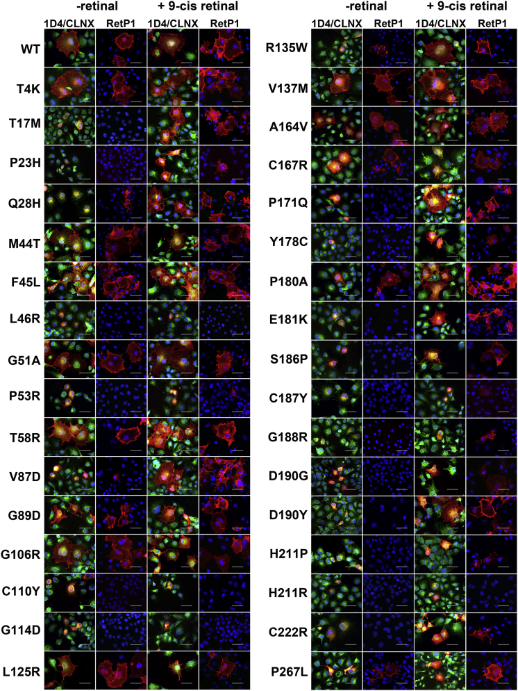 Figure 4