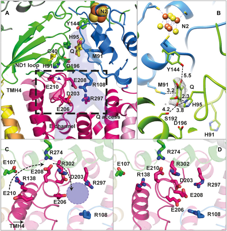 Fig. 4.