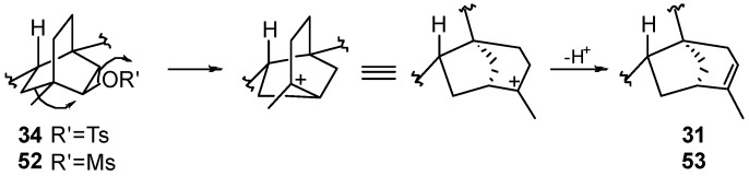 Scheme 18