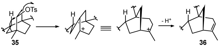 Scheme 19