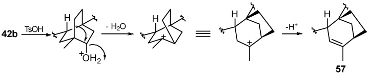 Scheme 20