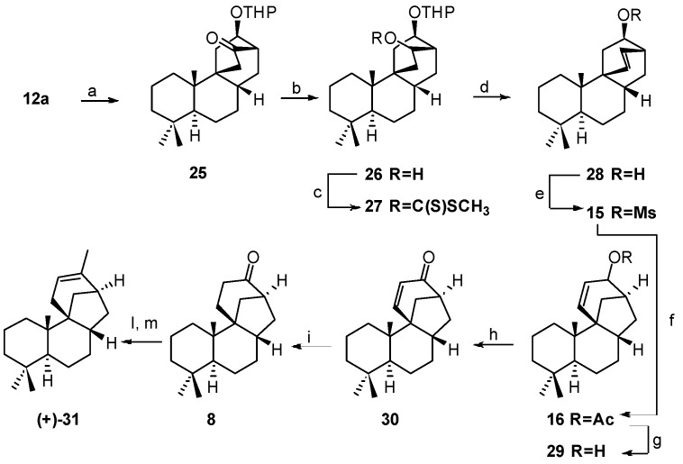 Scheme 4