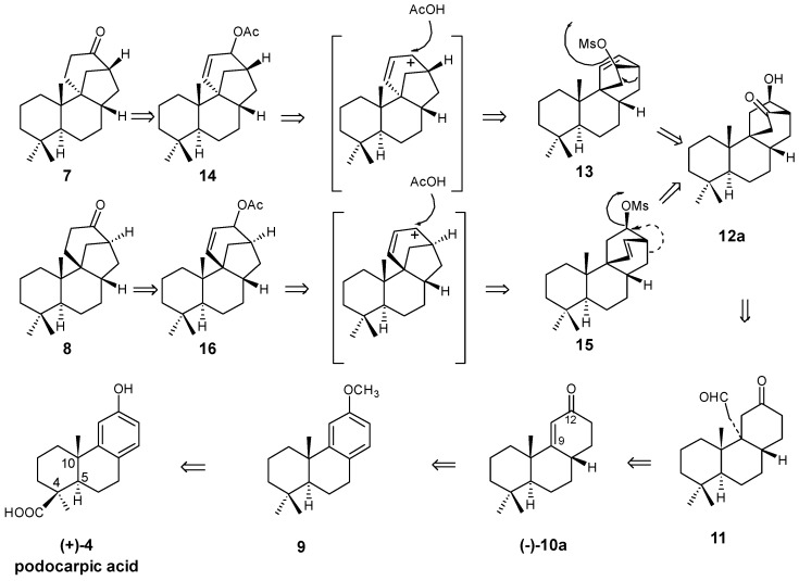 Scheme 1