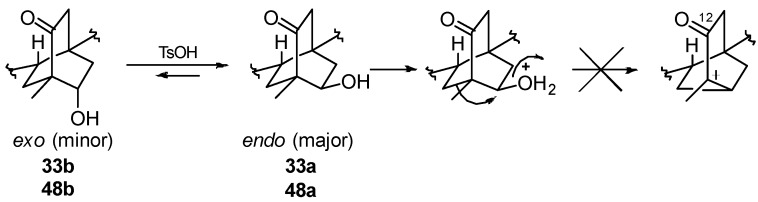 Scheme 22