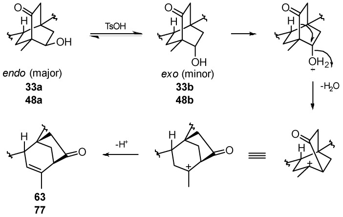 Scheme 21