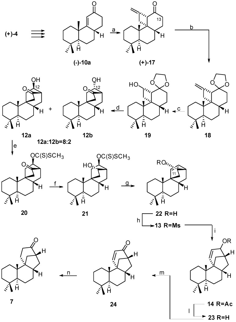 Scheme 3