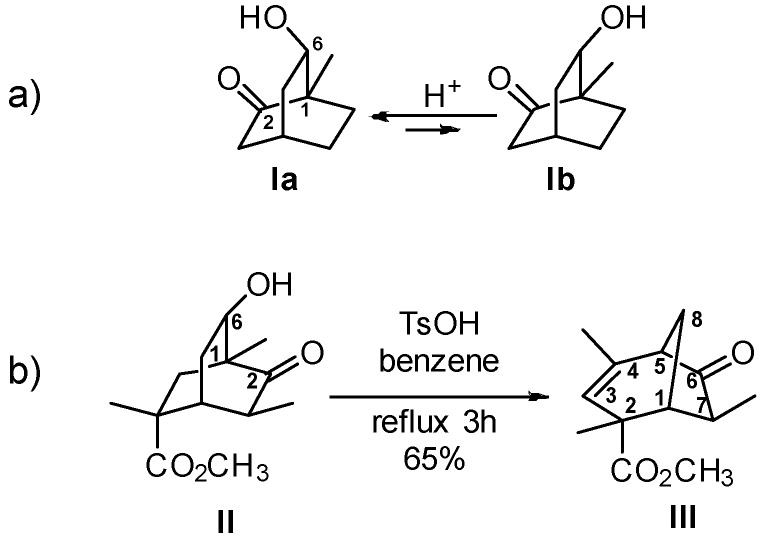 Scheme 12