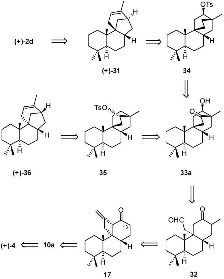 Scheme 5