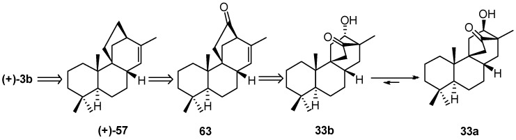 Scheme 13