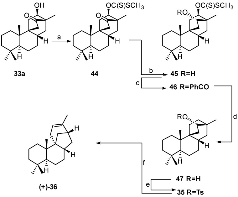 Scheme 7