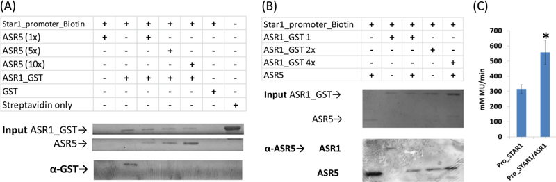 Figure 5.