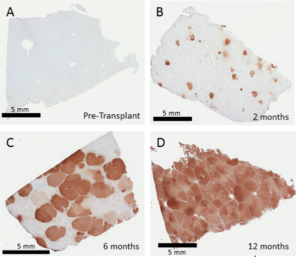 Figure 3: