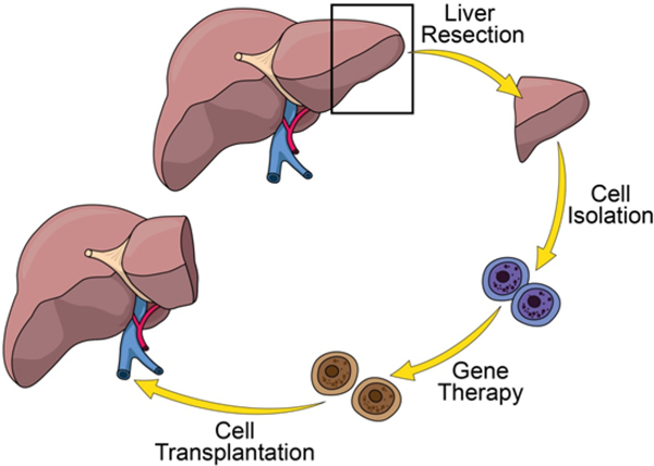 Figure 1: