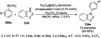 Scheme 258